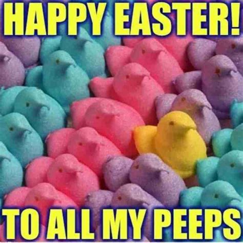 funny easter memes 2024 free